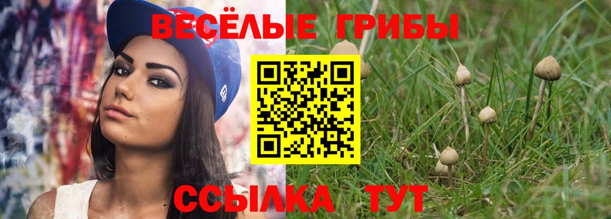 Галлюциногенные грибы мицелий Урюпинск